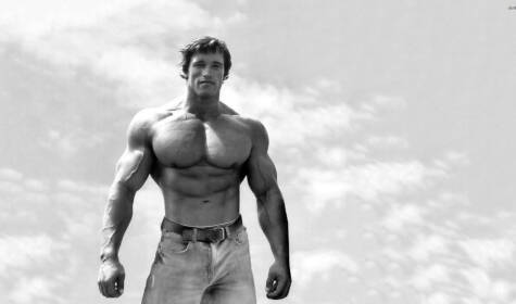 arnold-schwarzenegger_05efbcb572ab9c946f222f3353479a2a7eaeebb6