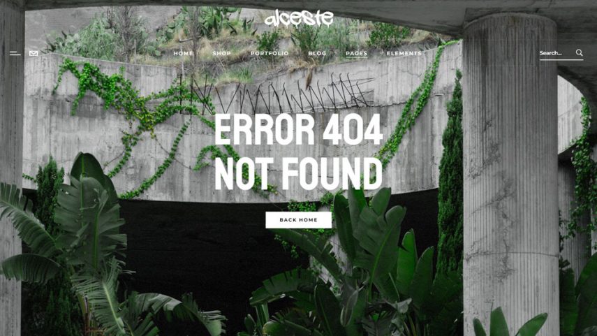 404