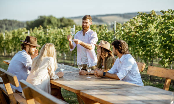 Group of a young people drinking wine and talking together while sitting at the dining table outdoors on the vineyard on a sunny evening